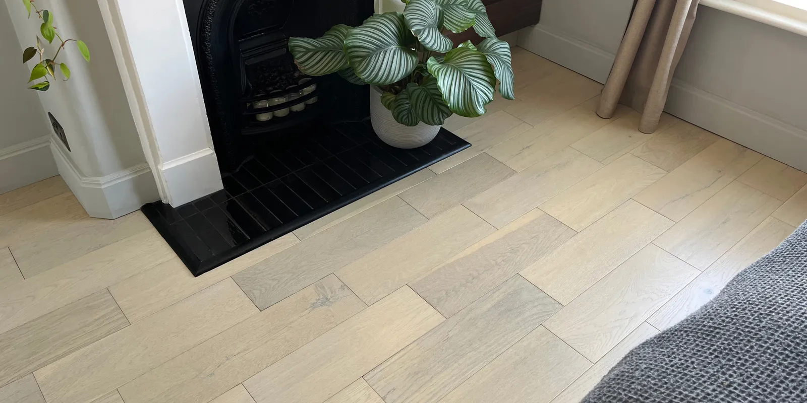Light oak hardwood flooring surrounding a black cast iron fireplace hearth with a potted calathea plant