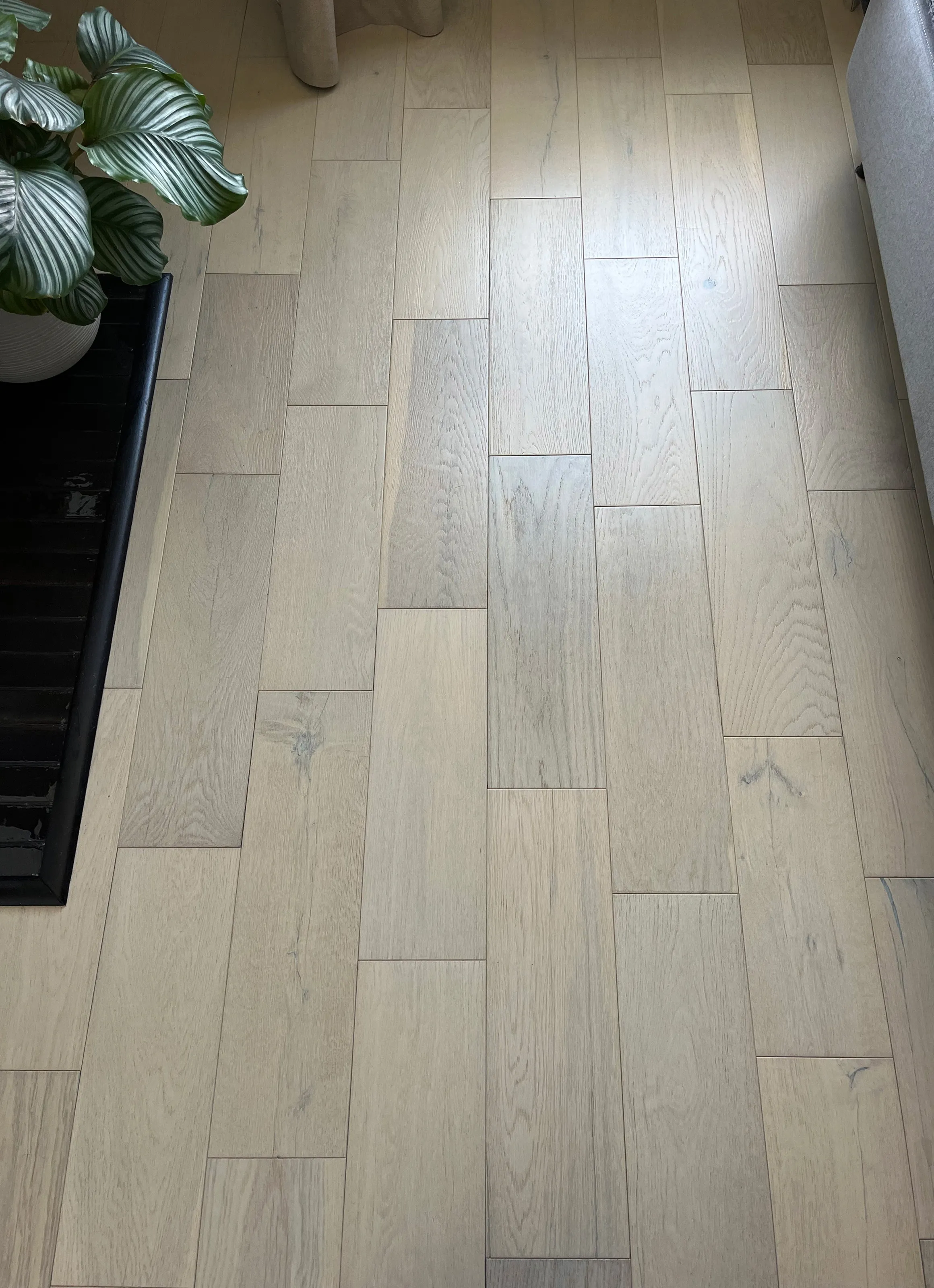 Overhead detail view of light grey-stained oak wood flooring planks