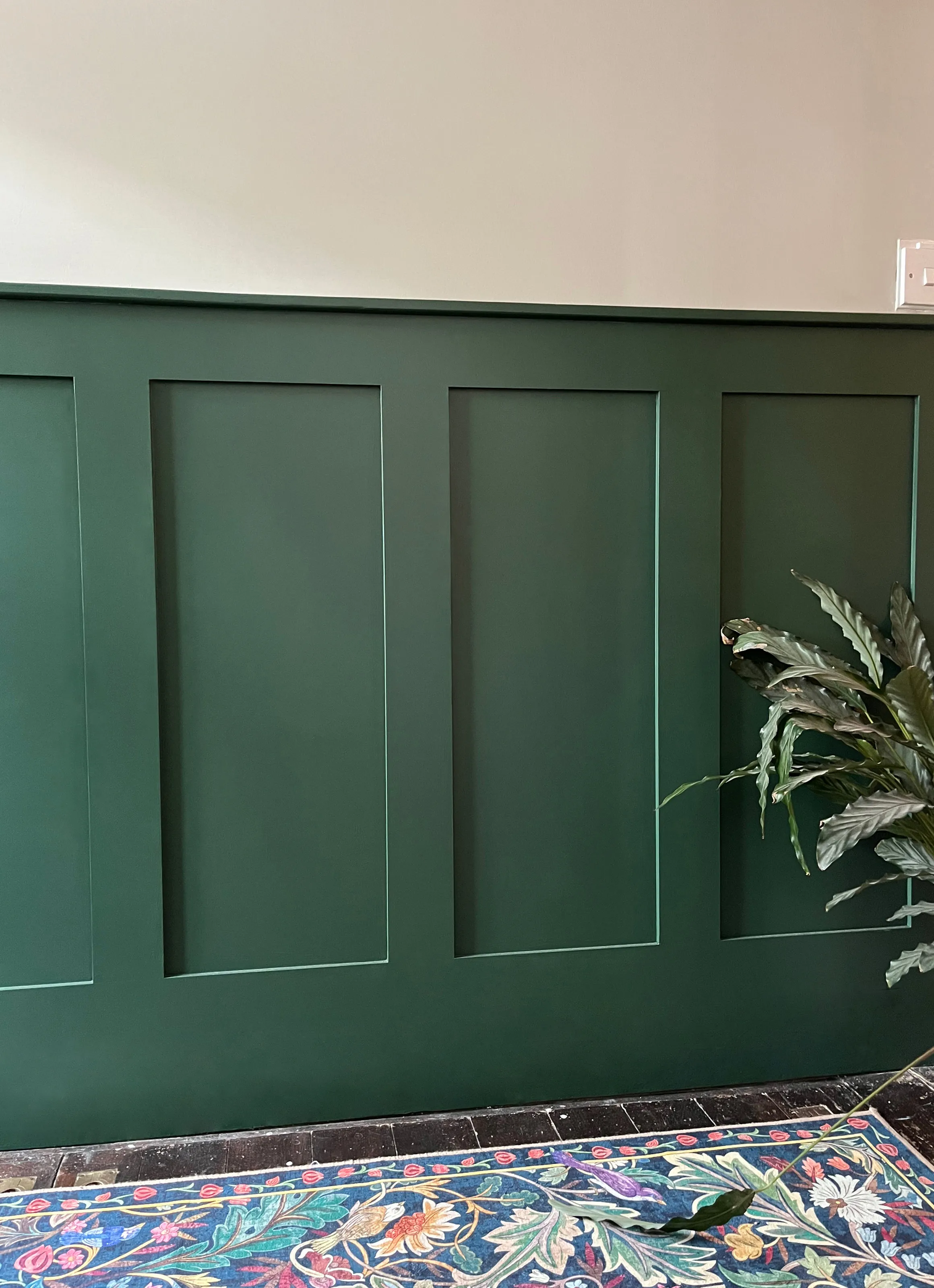 Detailed shot of dark green recessed panel wood wainscoting next to a indoor houseplant